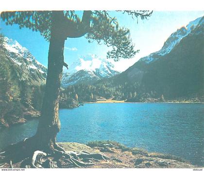 Carte Postale - Suisse - GR Grisons - Cavloce-See mit Piz dei Rossi - CPM - Carte Neuve - Voir Scans Recto-Verso - Posca