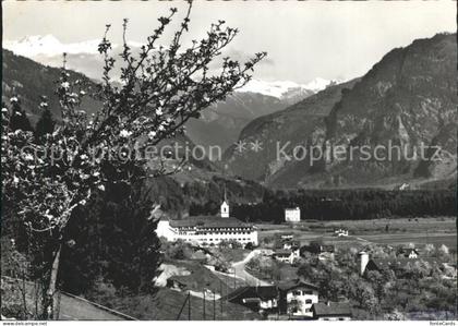 Cazis mit Ringelspitz Baumbluete