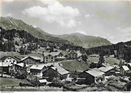 Feldis Veulden Hinterrhein GR Panorama Domleschg
