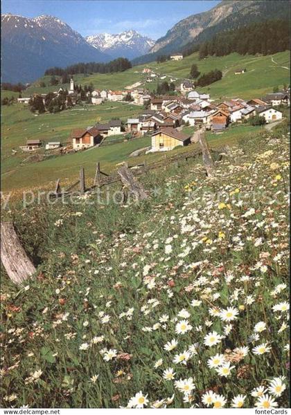 Ftan Pitschen Ftan Grond