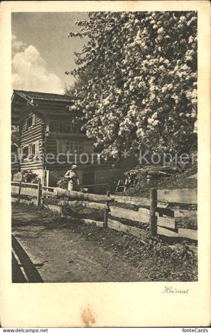 Lunden Schiers ---