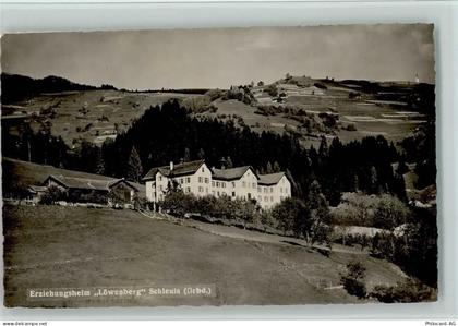 Schleuis 1918 - Erziehungsheim "Löwenberg" , gute Erhaltung AK - 13077707