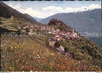 Trin mit Ruine Hohentrins