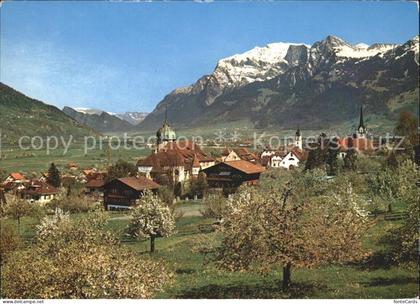 Zizers mit Fl?scherberg Falknis Gleckwand und Gleckhorn