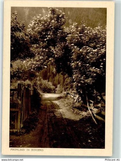 7220 Schiers - Heimatbilderserie Frühling - 39704351
