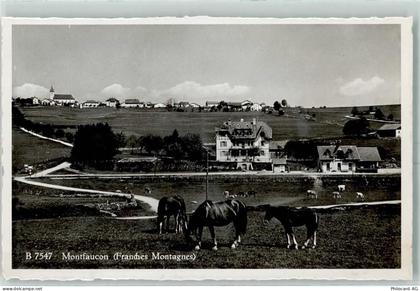 2362 Montfaucon - Pferde - 13149490