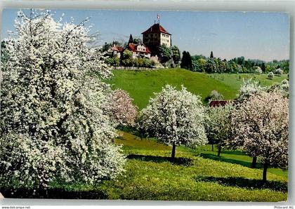6284 Gelfingen 1917 Foto AK Schloss Heidegg - 38219051