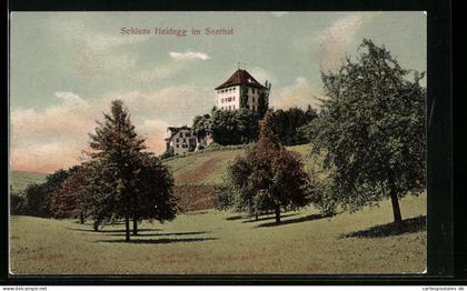 AK Gelfingen, Blick auf das Schloss Heidegg im Seethal