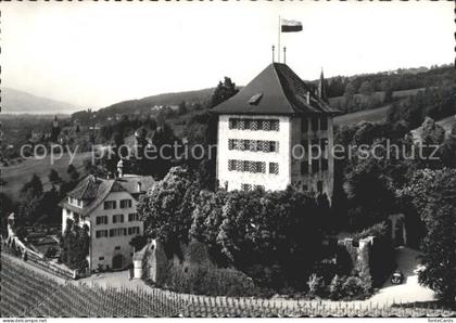 Gelfingen Schloss Heidegg