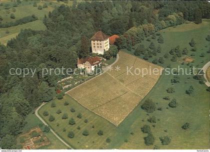 Gelfingen Schloss Heidegg Fliegeraufnahme