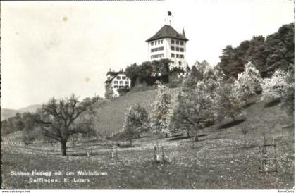 Gelfingen Schloss Heidegg x 1961