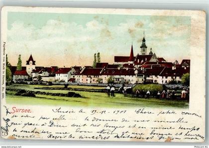 6210 Sursee - 13172955