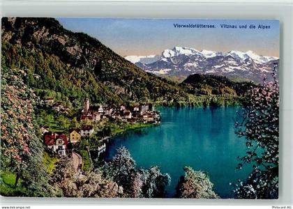 6354 Vitznau - Vierwaldstättersee Vitznau und die Alpen - 10257826