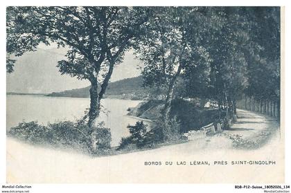 BDBP12-0970-SUISSE - Bords du LAC LEMAN pres saint gingolph