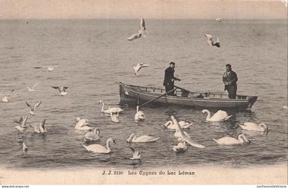 SUISSE - Lac Léman - Cygnes - Barque - Deux hommes - Oblit 1910 - CPA