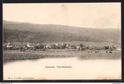 AK Cornaux, Vue générale