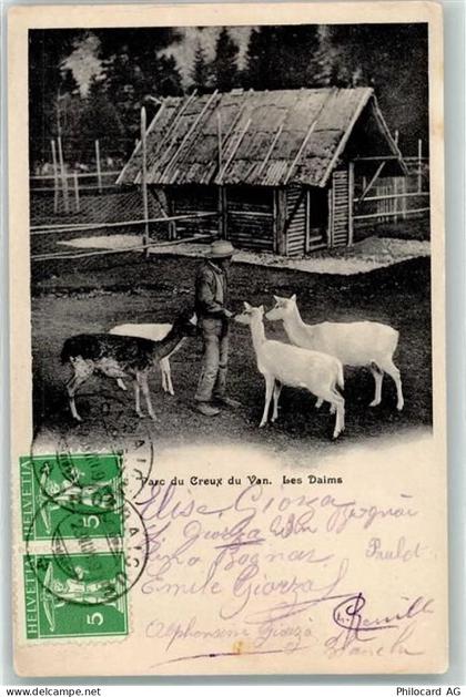 2103 Noiraigue - Les Daims Parc du Creux Ort lt. Stempel - 10604665
