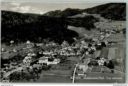 13145865 - Dombresson