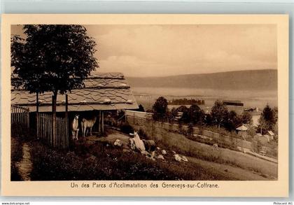 2206 Les Geneveys-sur-Coffrane - Lamas - 13172710