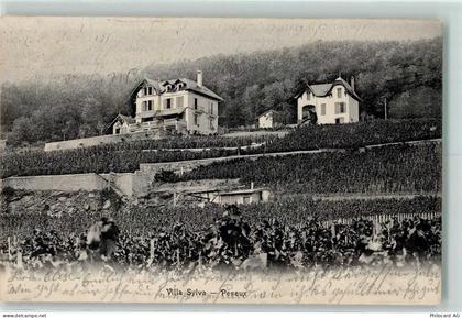 2034 Peseux 1904 - Villa Sylva - 13127905