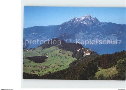 Buergenstock Hotels