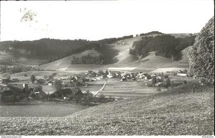Linden  x 1979