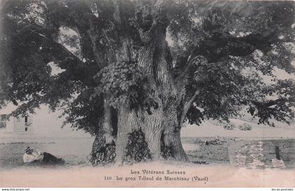 SUISSE MARCHISSY LE GROS TILLEUL