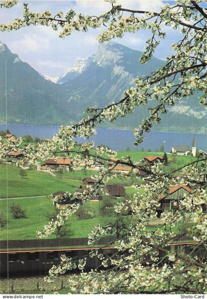 SUISSE SPIEZ LAC DE THOUNE