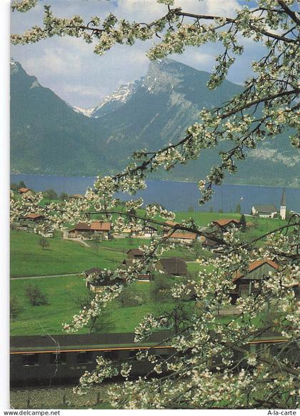 SUISSE SPIEZ LAC DE THOUNE