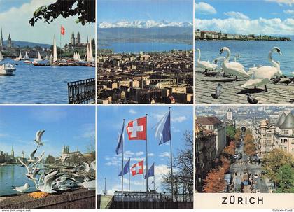 SUISSE ZURICH LAC DE ZURICH