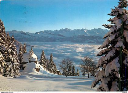 CPM Abendstimmung Rigi Kaltbad Kanzeli