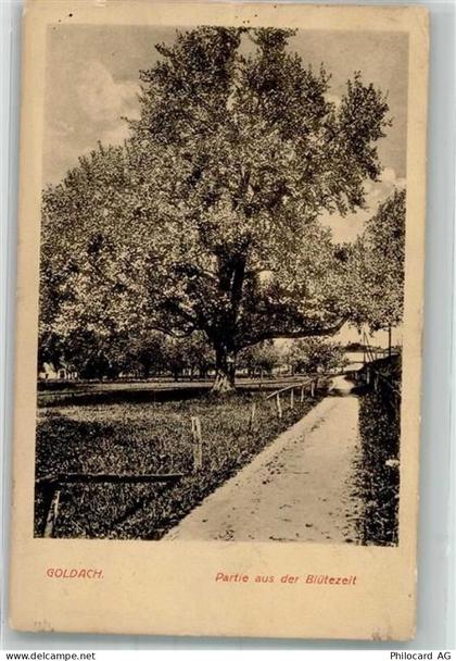 9403 Goldach 1921 Foto AK - 39983531