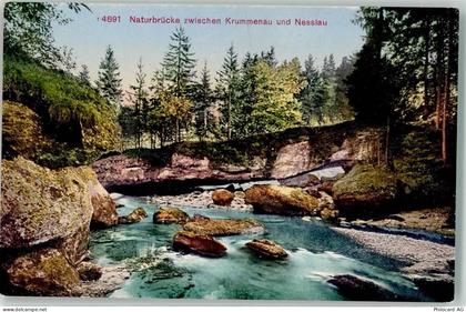 9643 Krummenau - Naturbrücke Nesslau - 39499135