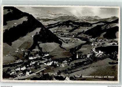 10599445 - Brunnadern