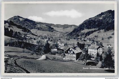 50894868 - Brunnadern