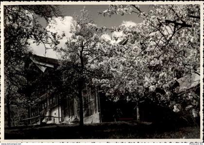 9473 Gams Gasenzen - 50460308