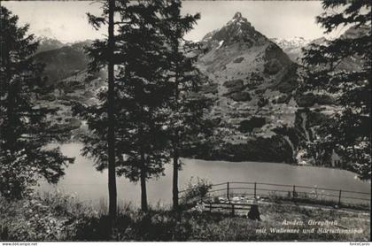 Amden Walensee SG Amden Giregaertli Walensee