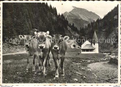 Gams SG Kuehe Kirche