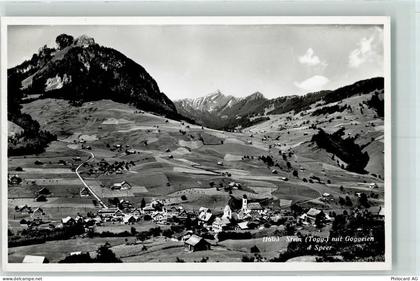 9655 Stein SG - Goggeien - 10303110