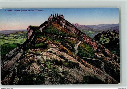 8872 Weesen 1929 - Speer bei Weesen - 10198973