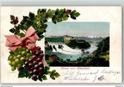 8212 Neuhausen am Rheinfall 1904 - Traubenranke - 10593051