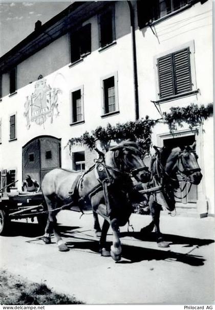 8213 Neunkirch - Bauernhof, Kutsche - 50746564