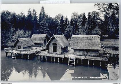 5012 Schönenwerd - Pfahlbauten - 50593573