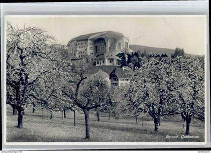 Dornach SO Dornach Goethenanum