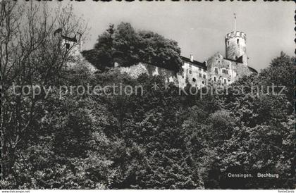 Oensingen Bechburg