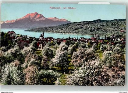 6403 Küssnacht am Rigi 1908 - Pilatus - 39490227