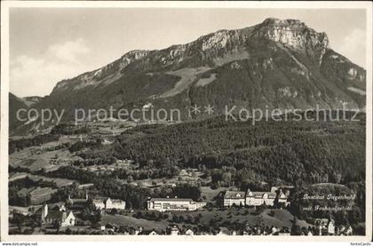 Ingenbohl Institut Ingenbohl mit Frohnalpstock
