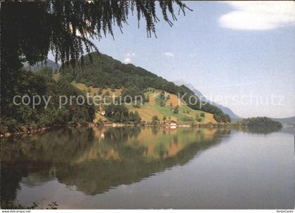 Lauerz Lauerzersee