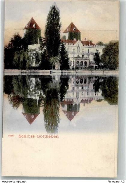8274 Gottlieben Gebrauchsspuren Schloss - 39980347