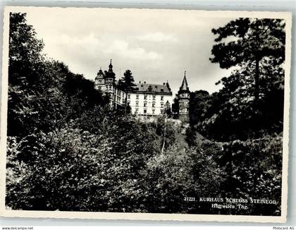 8536 Hüttwilen Foto AK Schloss Steinegg Kurhaus - 38069924